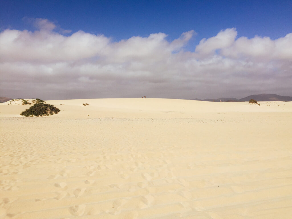 duny corralejo