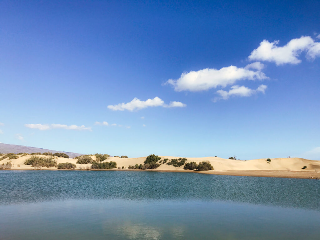 maspalomas laguna