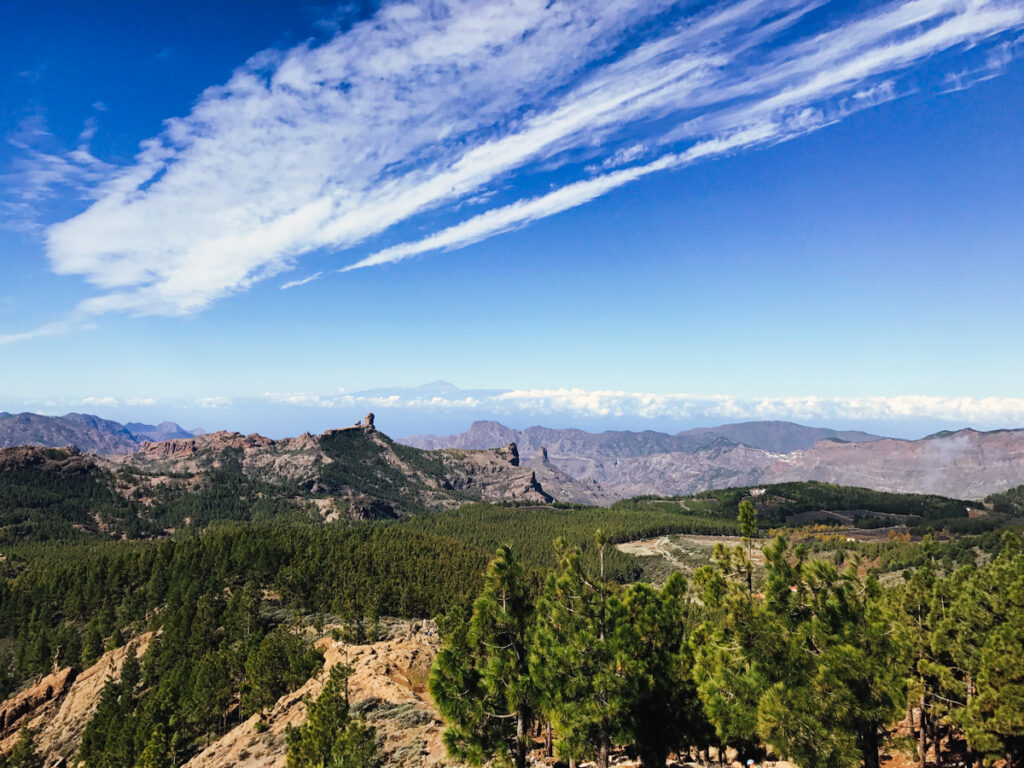 roque nublo