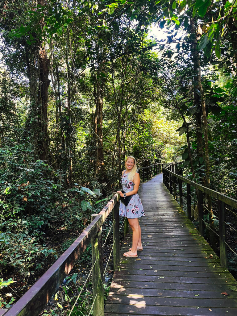 cahuita cesta