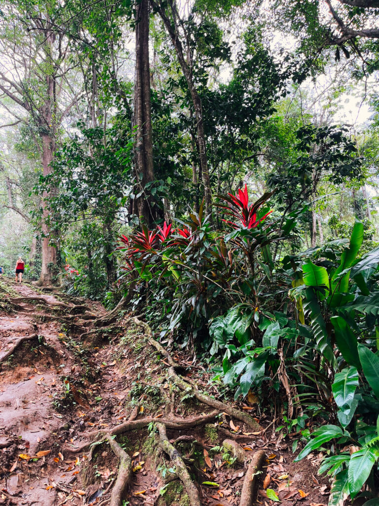 manzanillo park2